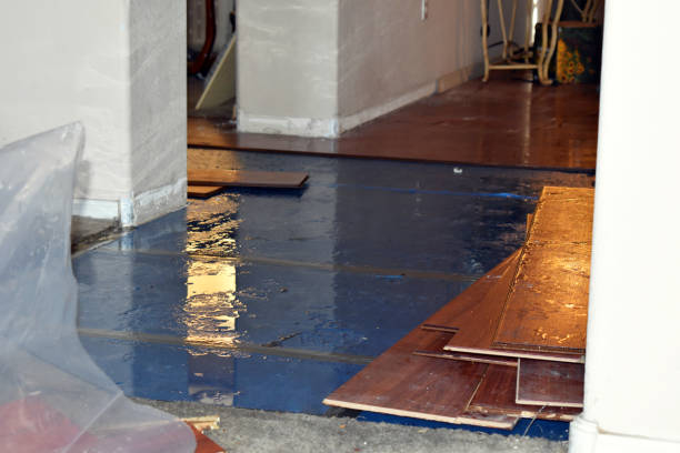 Professional Emergency Water Damage Restoration technician working in Siren, WI